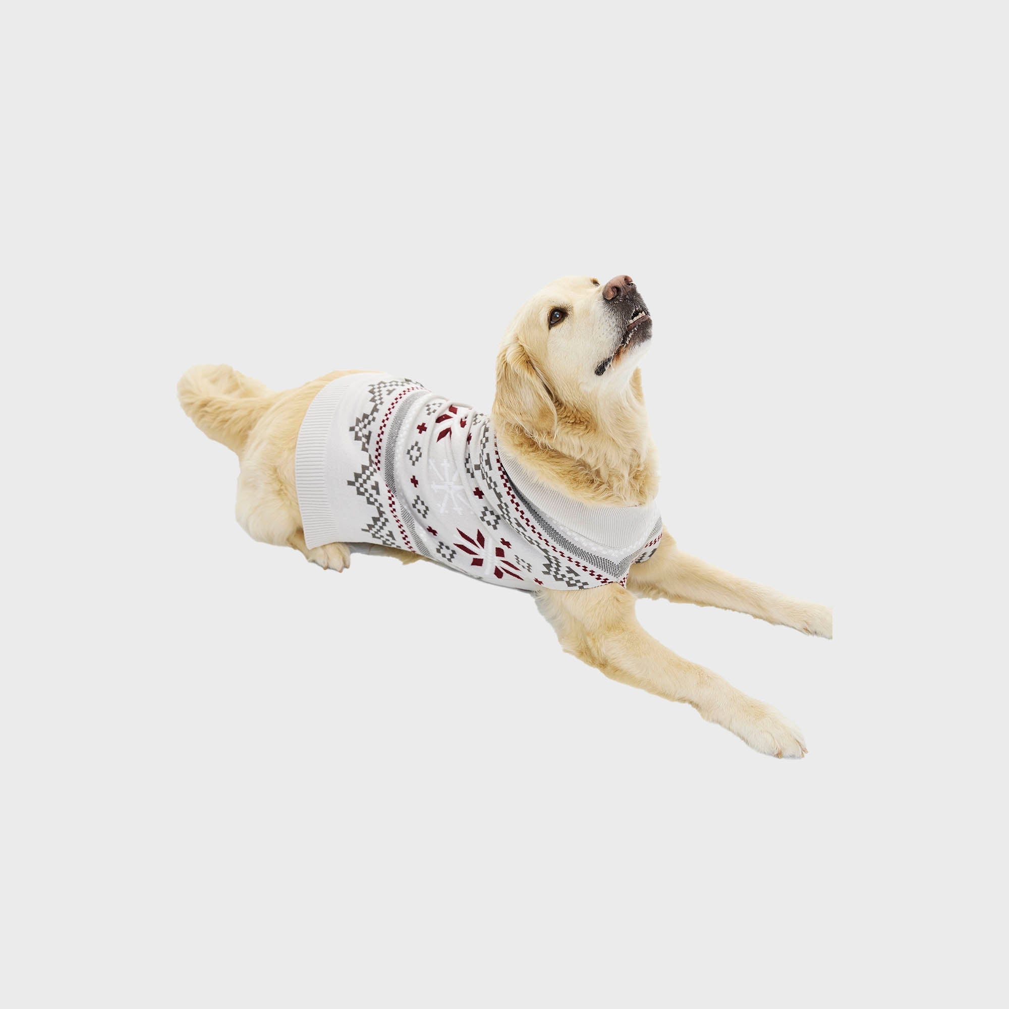 Fancy julegenser til hund